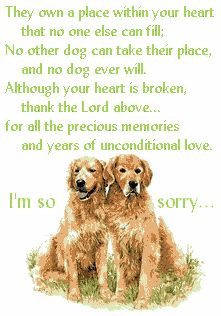 am so sorry to hear that your babies passed away. Losing a pet ...