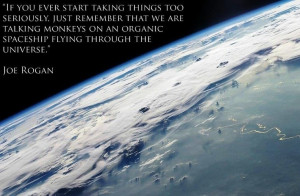 Joe Rogan On Taking Life Seriously Quote