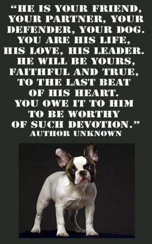 HE IS YOUR FRIEND, YOUR PARTNER, YOUR DEFENDER, YOUR DOG.YOU ARE HIS ...