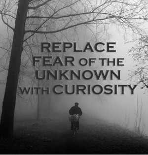 replace fear replace fear of the unknown with curiosity