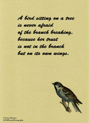 Bird Sitting On a Tree Quote-Inspirational Quotes-Erica Massaro ...