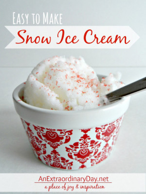 Easy to make: Snow Ice Cream from An Extraordinary Day.