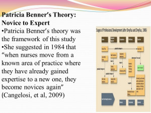 Patricia Benner Novice to Expert