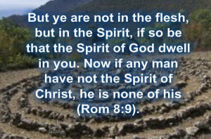 the holy spirit of god cannot be conjured up in some occult ritual or ...