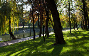 Riverside park background