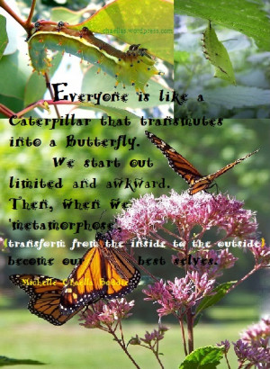 Motivational Quote A Metamorphosis Picture