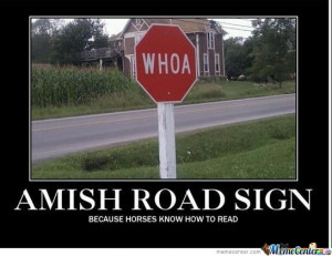 Amish Stop Sign.