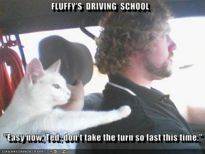 Name: funny-pictures-cat-teaches-driving-school.jpgViews: 3759Size: 28 ...