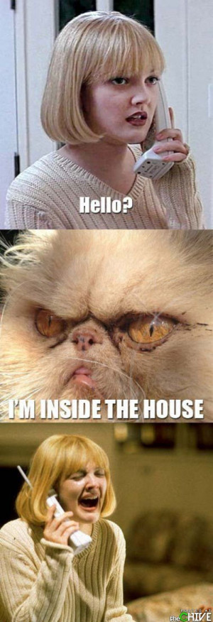 Best photos of the week theCHIVE