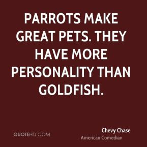 Parrots make great pets. They have more personality than goldfish.