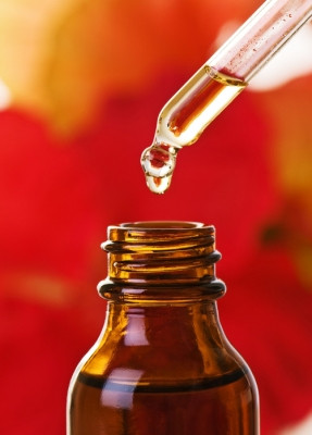 Funny Quotes Contact Us DMCA Notice