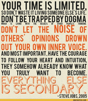 steve jobs,story,sandbox,quote