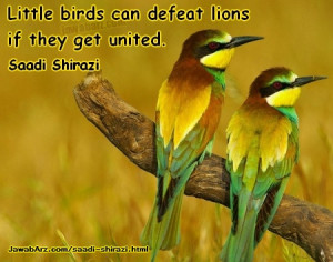 ... can defeat lions if they get united |Saadi shirazi quote about unity