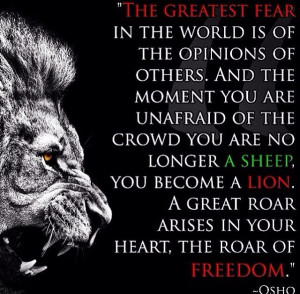 Lions don't lose sleep over opinions of sheep