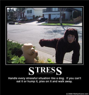 What is your stress level now?