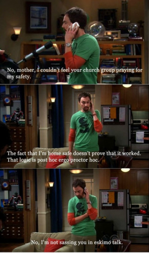 Funny Big Bang Theory (16 Pics)