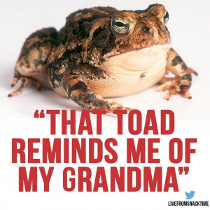 Teacher shares hilarious quotes from her students on Instagram.