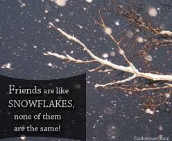 ... quotes about friends friendship quotes sayings funny friendship quotes