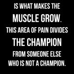 This area of pain divides the champion from someone else who is not a ...