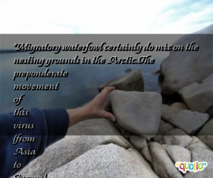 Migratory waterfowl certainly do mix on the