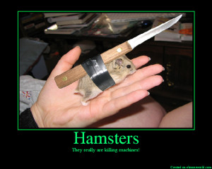 Funny Hamsters With Guns Next picture