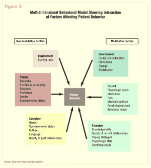 Behavioural and instrumental stressors in Dementia (BISID