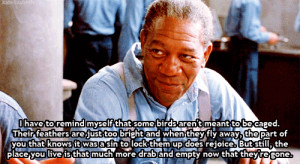 Morgan Freeman Shawshank Redemption
