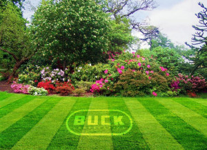 Buck Landscaping is a comprehensive lawn care service in Chapel Hill