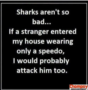 funny quotes about sharks