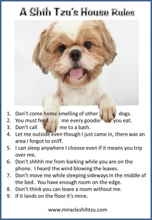 House Rules at Miracle Shih Tzu http://miracleshihtzu.com/dog-quotes ...