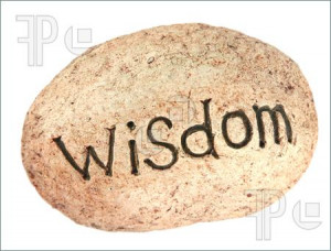 Photo of The word wisdom written on a rock for a garden