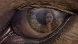 Wolf Pack: Imprinting