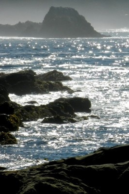 When your mind is liberated, your heart floods with compassion ...