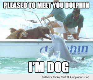 Thread: ITT: Funny Animal memes or gifs