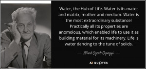 quote-water-the-hub-of-life-water-is-its-mater-and-matrix-mother-and ...