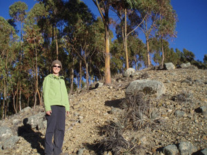 Botany 474 - Ethnobotany