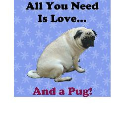 all_you_need_is_love_and_a_pug_dog_magnet.jpg?height=250&width=250 ...