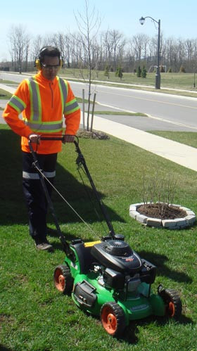 Funny Lawn Mowing Quotes