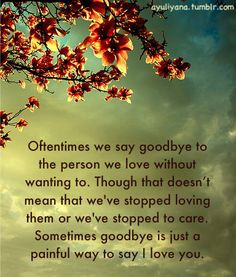 ... Goodbye and I will always carry our love forever no matter what