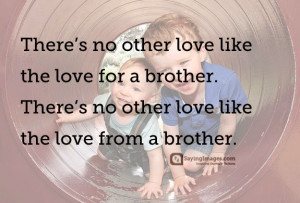 Quotes about Brotherhood