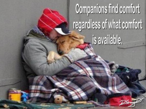 Homeless_Dog_Companion_by_Darry_D.jpg