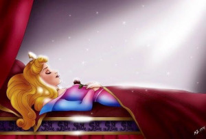 Sleeping Beauty's Princess Aurora via www.Facebook.com ...