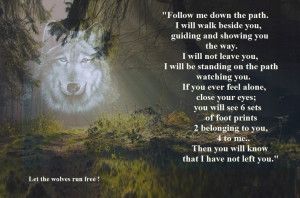 Wolf Spirit. Pretty sure I have a white wolf ghost following me. I've ...