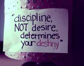 Discipline Quotes...