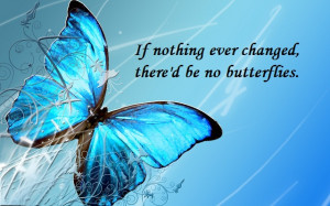 Be A Persevering Spiritual Butterfly!