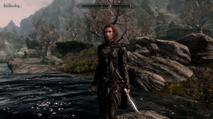 View Full Version: Post your Skyrim Character(s)!