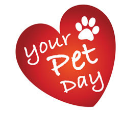 11:00 a.m. - 4:00 p.m.