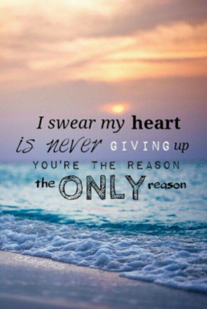 of summer, 5sos, ashton irwin, calum hood, luke hemmings, lyrics ...