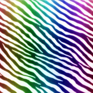 Colorful Zebra Stripes