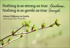 Strength quotes, gentleness quotes, Nothing is so strong as true ...